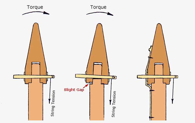 cross-sections through a typical neck-to-forepillar joint