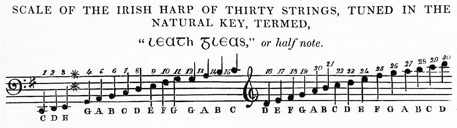 Hollybrook Harp Scale